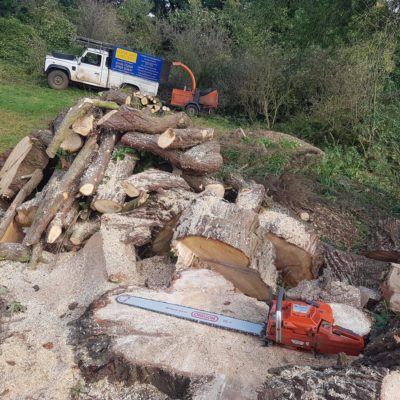 tree cutting in stroud