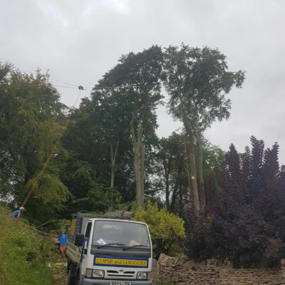 gloucestershire tree services